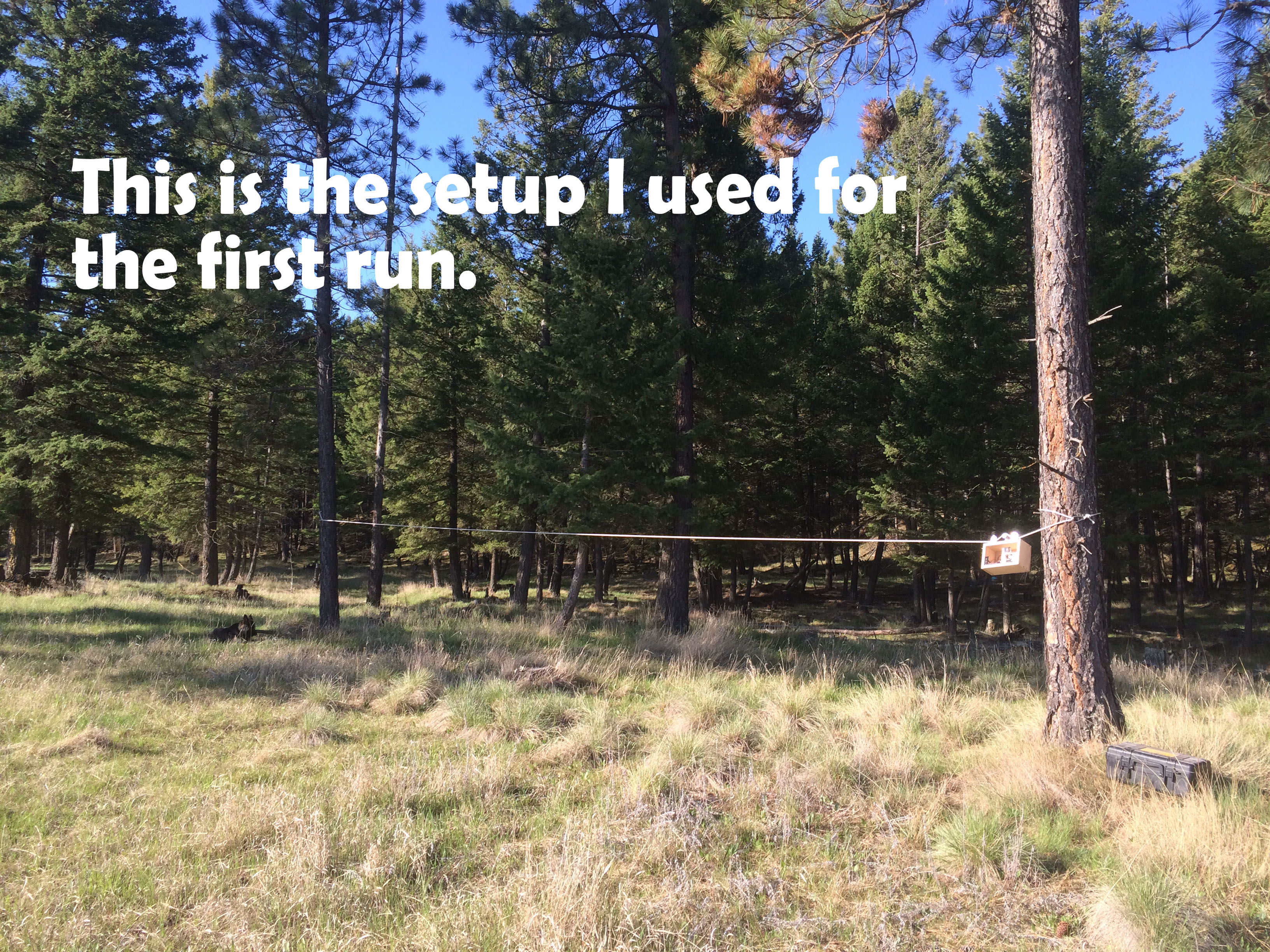 5372cd53-4770-4262-82c5-561f0ab9bcba Strung between two trees